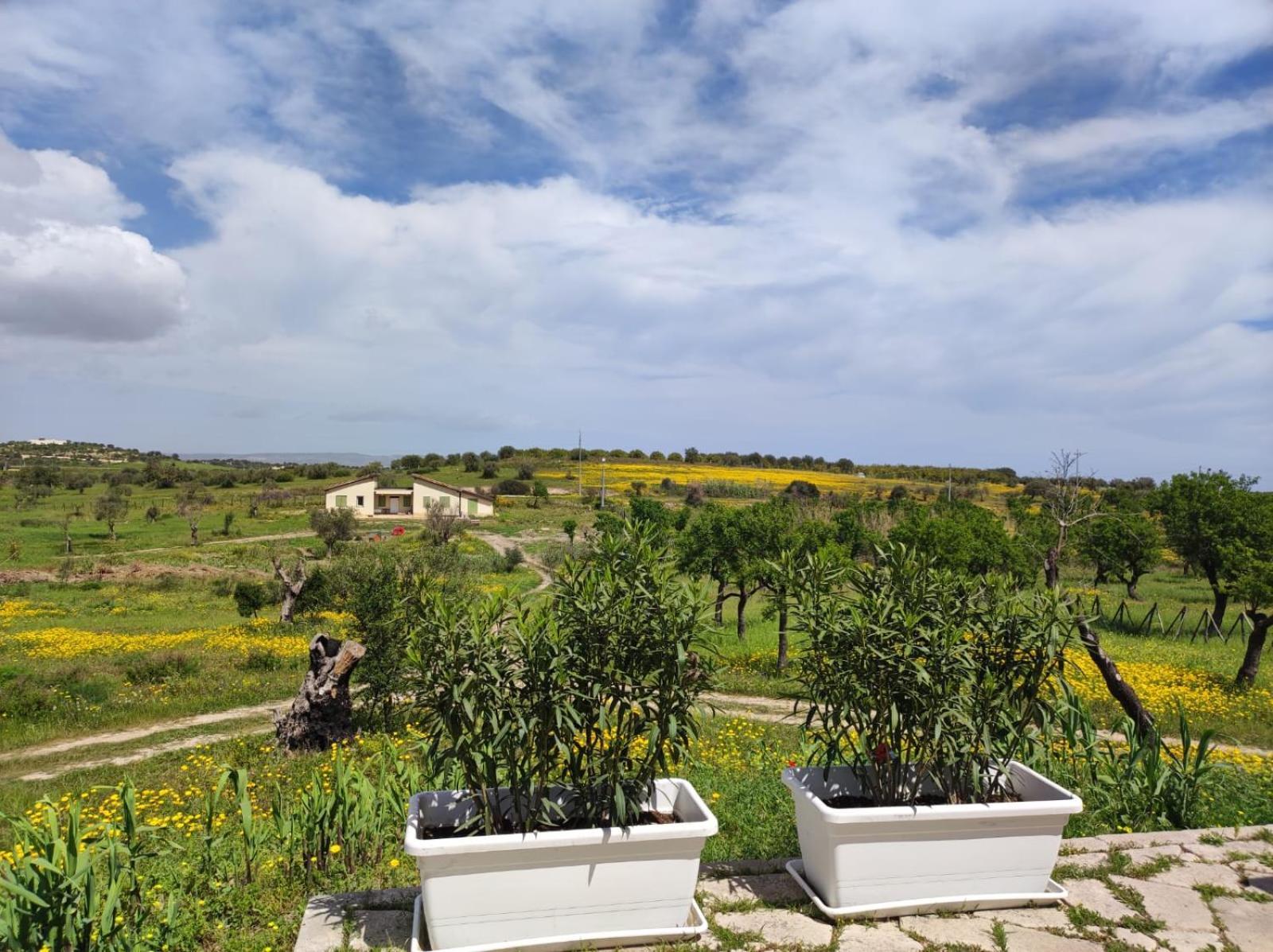 Henfeversicily Chalet Colapesce Casale Modica Dış mekan fotoğraf